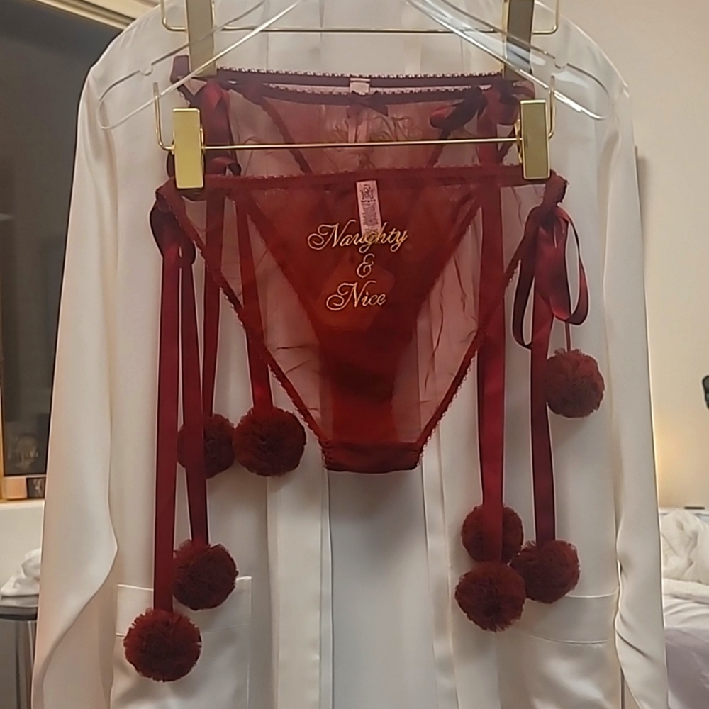 Naughty & Nice Sheer Red/Rust Panty